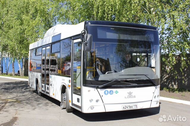  Автобус лотос 206 
