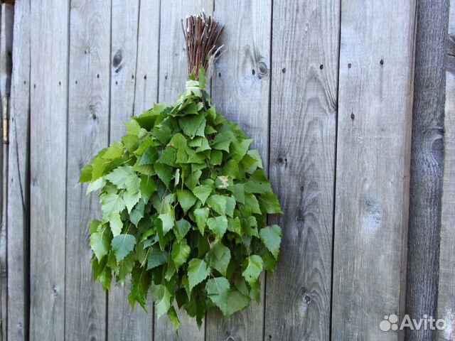 Веники березовые