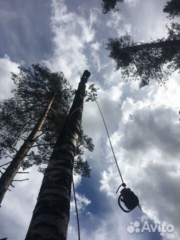 Спилить, раскрежевать дерево