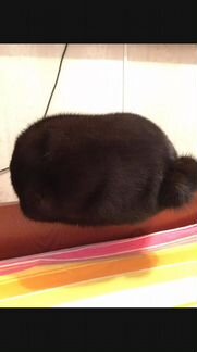 Женская норковая шапка