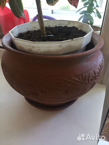 Керамический горшок напольный большой