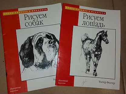 Уроки рисования и живописи рисуем лошадь собак