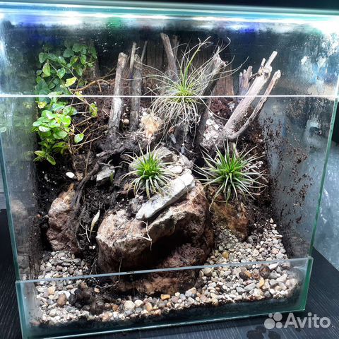 Террариум/флорариум под ключ