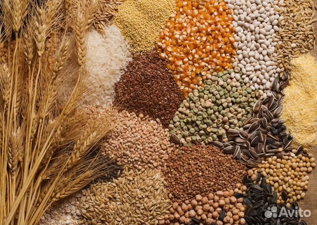 Зерносмесь для проращивания. Корм для попугаев