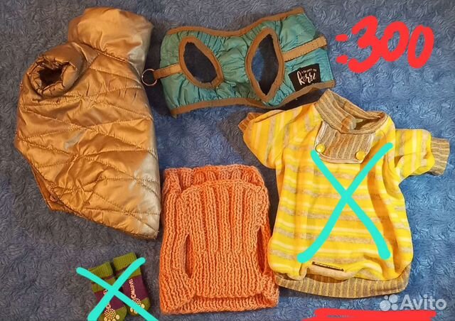 Одежда для маленьких собак