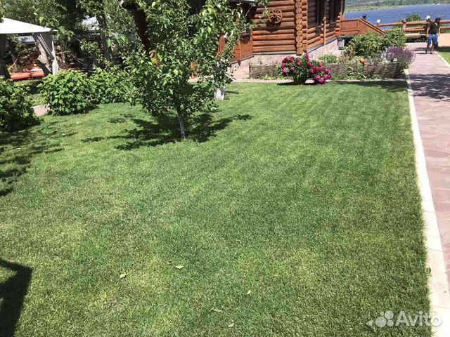 Рулонный газон от производителя