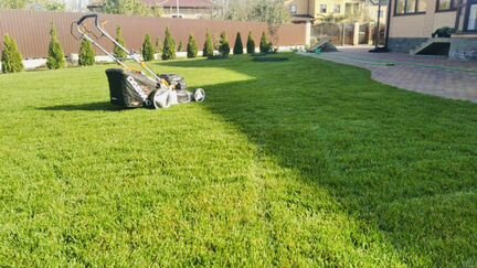 Газон Рулонный (Городской \Элит \Спортивный)