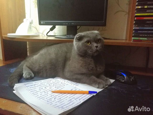 Переписание лекций