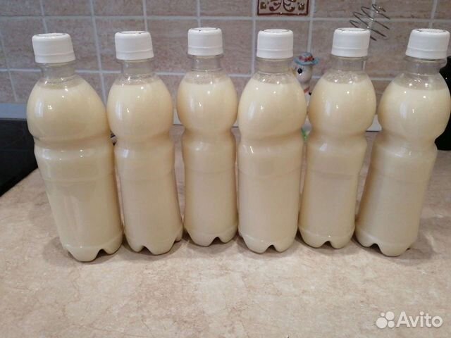 Барсучий Жир 2023