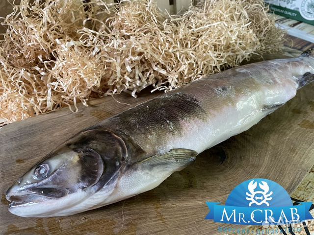 Горбуша рыба