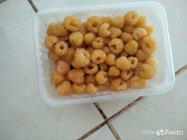 Саженцы винограда,малины,гр.ореха,черенки инжира