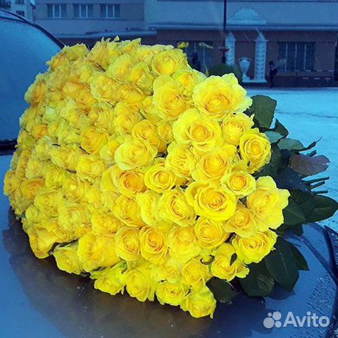 Букет желтых роз 31 роза 51 роза 75 роз