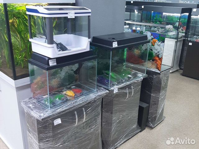 Аквариумы разных размеров и форм