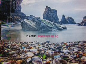 Placebo - Never Let Me Go (2LP black vinyl)