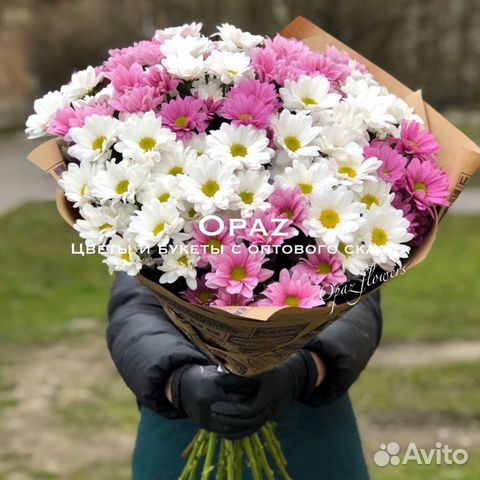 Розы цветы хризантемы