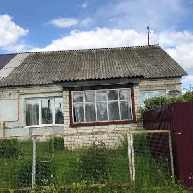 Мужиново брянская область. Центральная д. Иерей александр домбровский. Мужиново брянская область. Храм в с мужиново клетнянского района.