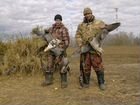 Охота на гуся в Ярославской области объявление продам