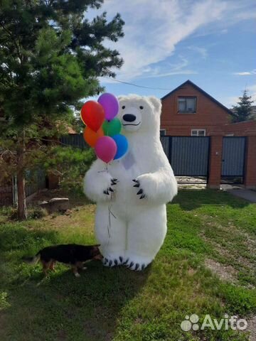 Белый медведь, поздравление от мишки, аниматор