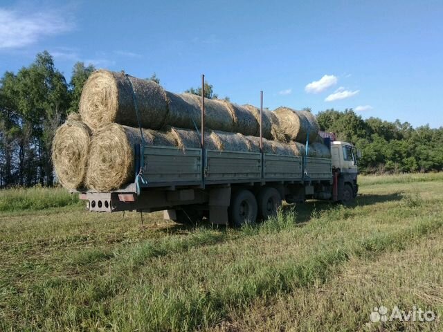 Сено,солома зелень отличного качества