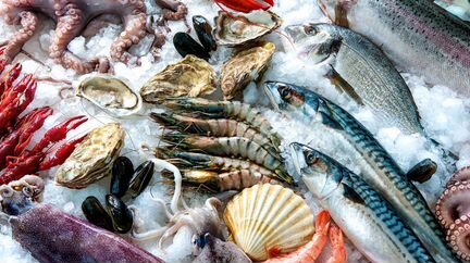 Морепродукты мелким оптом