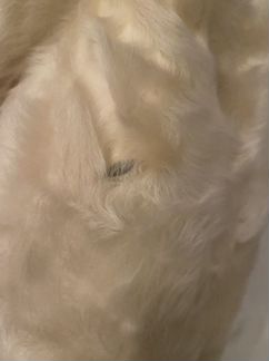 Шуба из козлика