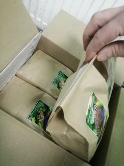 Чага гриб. Чага упакованная. Берёзовая Чага - 1 кг