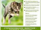 Ветеринарные услуги объявление продам