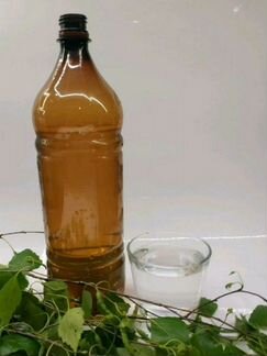 Берёзовый сок для иммунитета и защиты от вируса