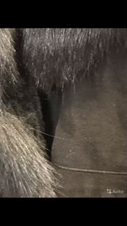 Дубленка женская черная