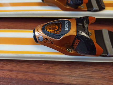 Горные лыжи