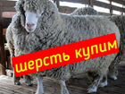 Шерсть.овечья объявление продам