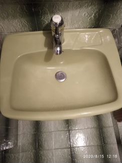 Раковина тюльпан