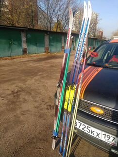 Беговые лыжи