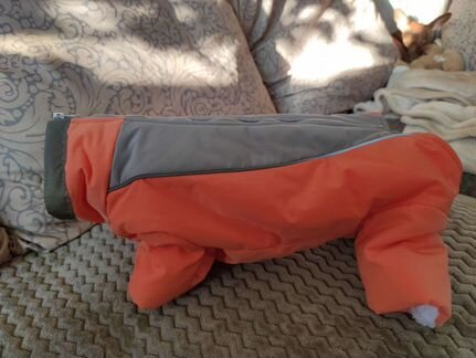 Новый комбинезон для собаки- девочки