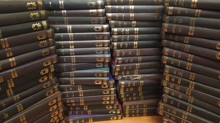 Вече,Коллекция исторических романов 74 кнги