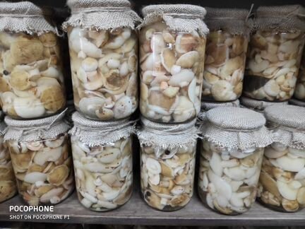 Грибы маслята соленые