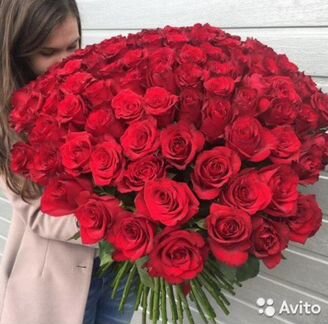 Розы