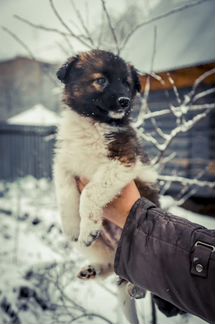 Супер красивый мальчик