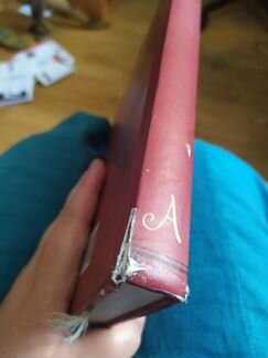 Две книги Б. Акунина