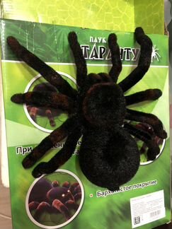 Тарантул tarantula