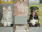 Коллекция стерео календарей кошки собаки 2017 г