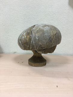 Берет болванка