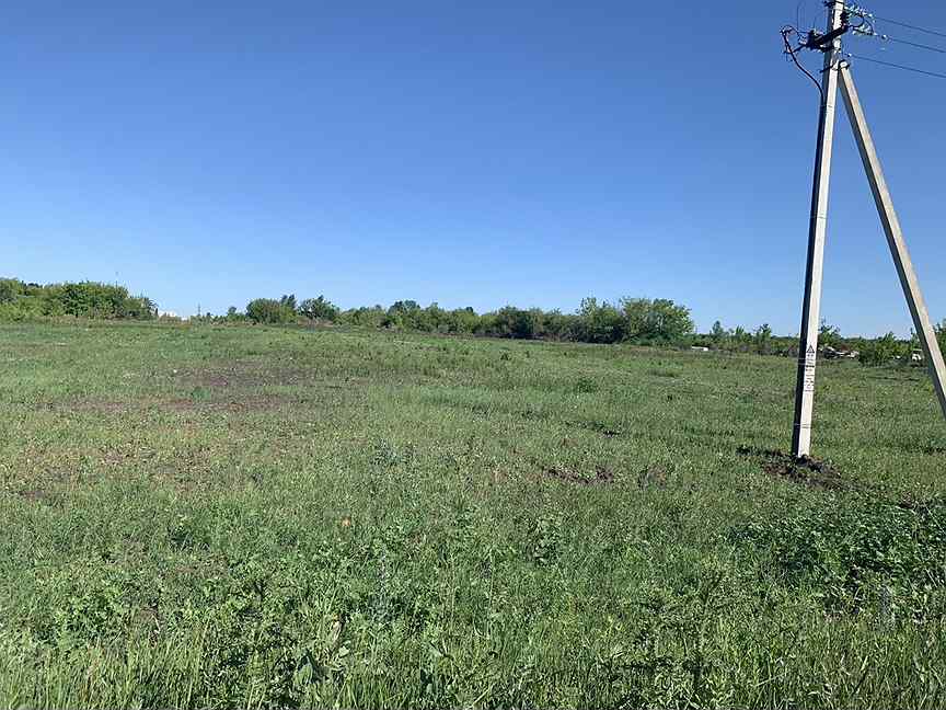 улица стрельцы тамбов. снт дружба тамбов. земельный тамбов. луг тамбовской области. сухая старица.