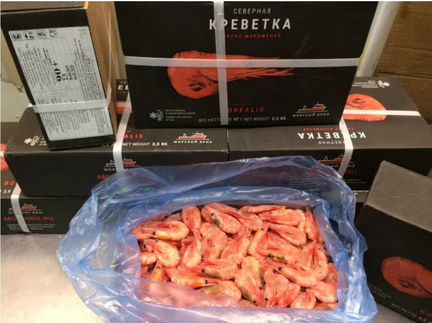 Креветки. Мурманск
