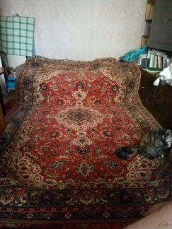 Ковер настенный (напольный) 3х2 м