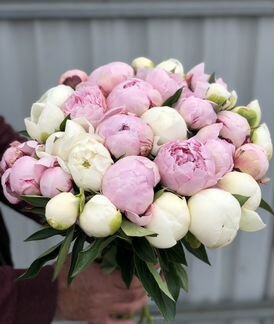 Букет Пионов