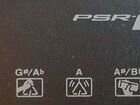 Синтезатор Yamaha PSR-E333 объявление продам