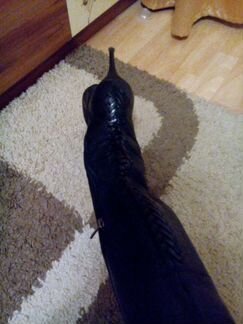 Кожаные демисезонные сапоги Berkonty