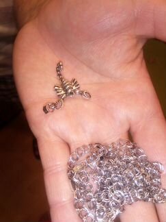 Подвеска Скорпион и цепь 65 см серебро 925 пр 24 г