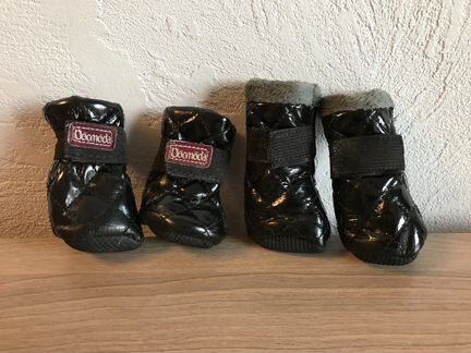 Ботинки для собак